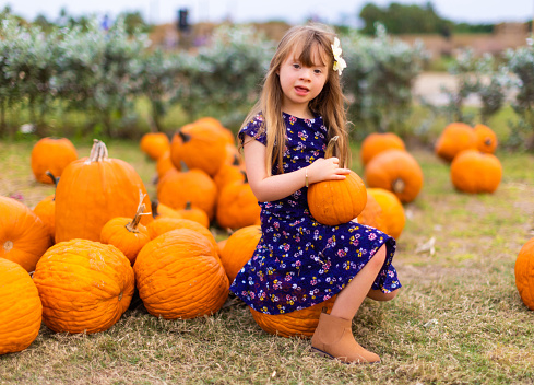 Six years old girl posing among pumpkins in Florida
