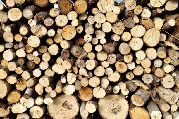 istock Firewood texture, cross section of log 1350977862