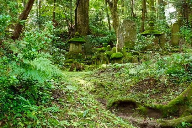 istock Japanese sacred grove, mossy lanterns 1350980598