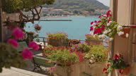 istock View of flowers on a terrace along the coast on Elba Island, Italy. 1350984059