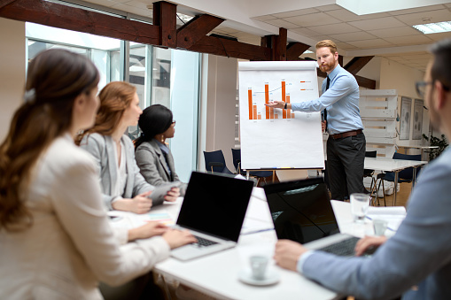 Businessman presenting new project to partners in the office