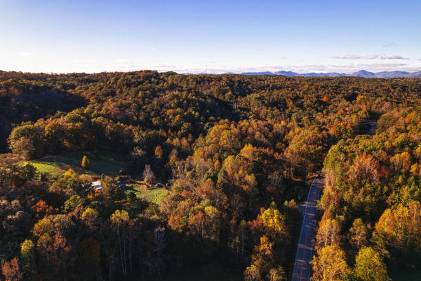 aerial view of country home near the road aerial view of country home near the road georgia landscape stock pictures, royalty-free photos & images