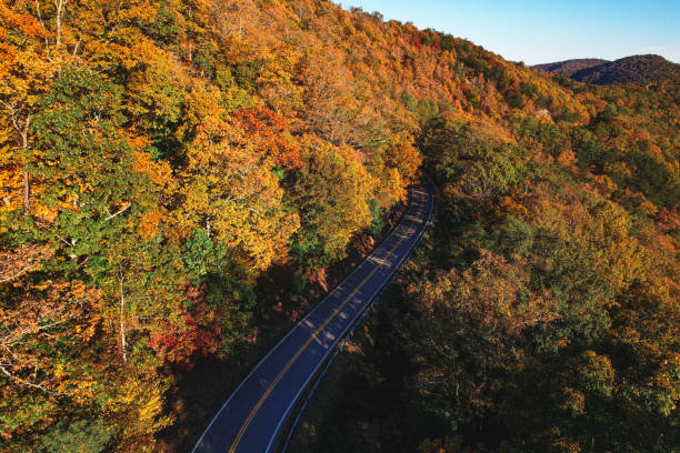 istock sightseeing through mountain road in the Autumn 1350989152