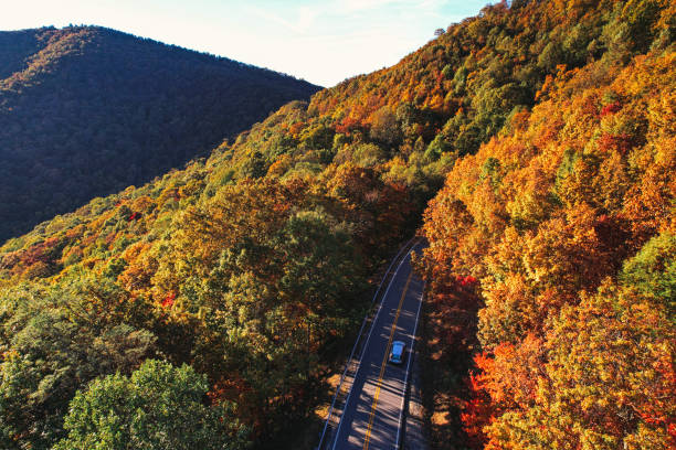 istock car driving through Autumn foliage in the mountains 1350989203
