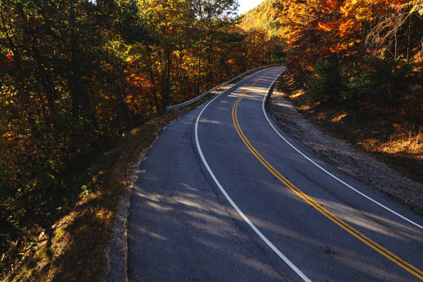 curvy road diminishing at a distance