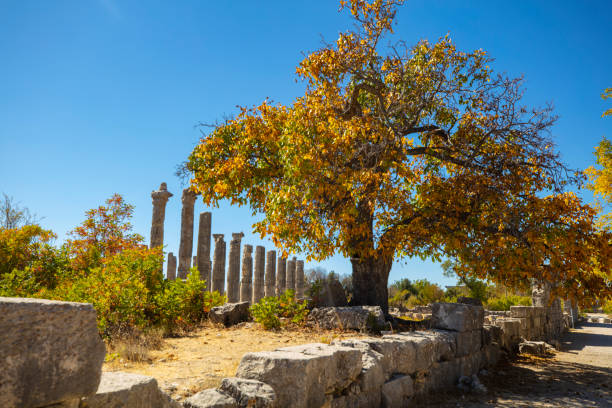 храм зевса диокаэсария (uzuncaburc) древний город в мерсине, турция - tyche стоковые фото и и зображения