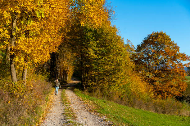 Woman enjoying walking on path while enjoying autumn sun at edge of Intermittent lake Planinsko polje. She, green surrounding and blue sky, Slovenia.