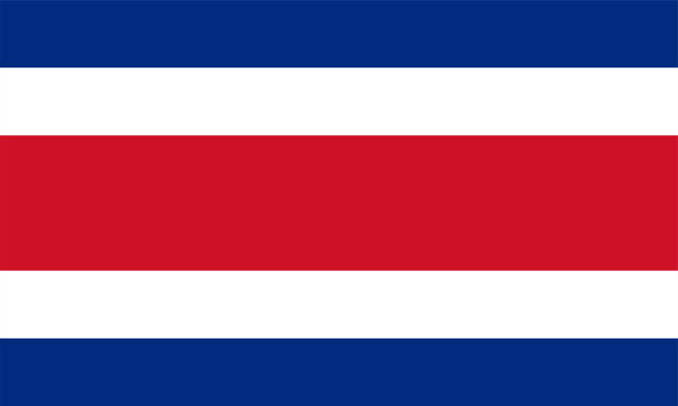 wektor flagi kostaryki - flaga kostaryki stock illustrations