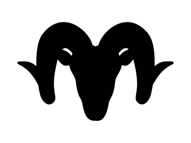 Ram head icon, horned sheep, vector illustration Ram head icon, horned sheep, vector illustration design ram animal stock illustrations