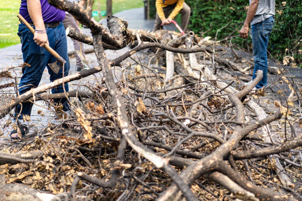 istock Asian worker axe the logs, dead tree to small pieces for next process. 1350995799