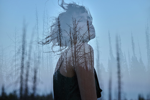 Portrait of a girl with double exposure against a tree crown. Delicate mysterious portrait of a woman with a blue sky in wood