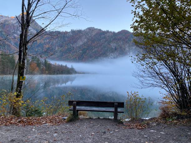 istock Atmospheric foggy autumn day 1350997152