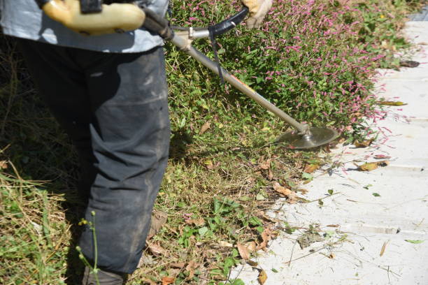 istock A farmer weeding roadside weeds with a mower. 1350997997