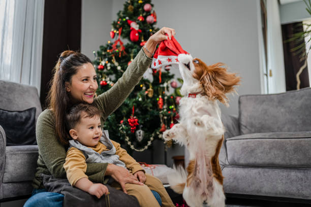 oung mother and her son enjoying together at home in a Christmas atmosphere stock photo