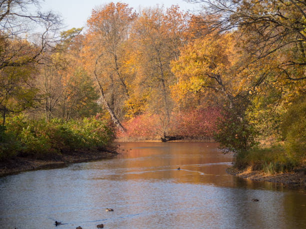 istock autumn park by the river 1351003740