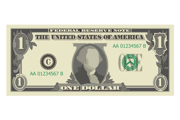 ilustraciones, imágenes clip art, dibujos animados e iconos de stock de billete de un dólar, billete de 1 dólar estadounidense, de anverso, anverso. ilustración vectorial simplificada de usd aislado sobre fondo blanco - dollar sign