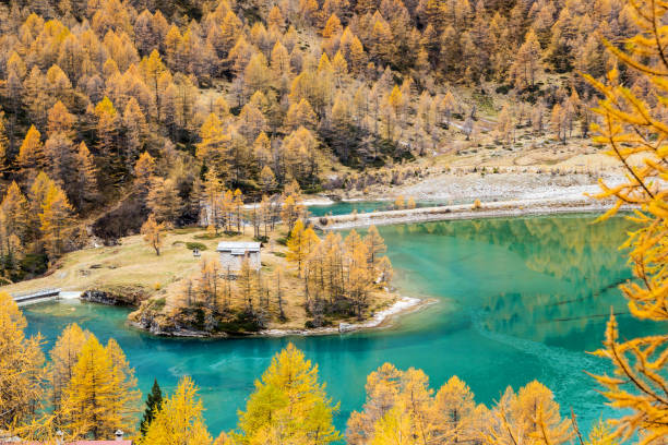 lago palu abaixo da geleira piz palu nos alpes suíços em dia colorido de outono - engadine switzerland palu piz - fotografias e filmes do acervo