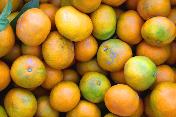 istock Crate of Tangerines 1351010267