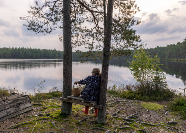 istock silhouette of a sitting woman on a bench 1351010301