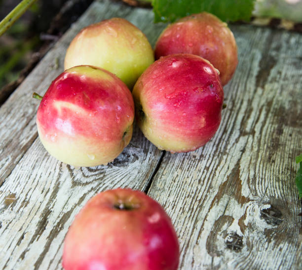 istock Red apples with water drops on an old wooden table, close up, copy space 1351010396