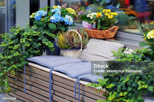 Flower Arrangement With Potted Plants Of Hydrangea Ivy And Heather At The Entrance To Flower Shop In European City Cozy Seating Area With Cushions Selective Focus Stock Photo - Download Image Now