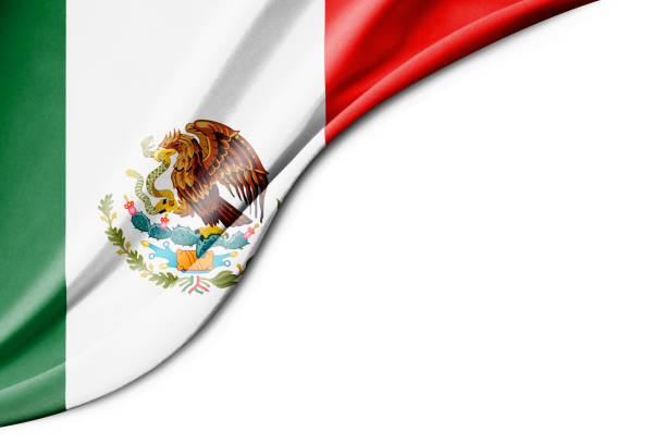 In Playa del Carmen, Mexico a large flag waves against an overcast sky with palm trees in the background.