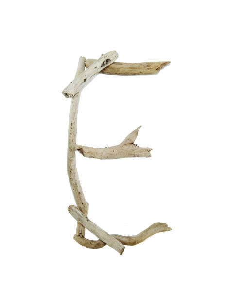 istock letter E made of dry wood isolated over white background, copy space 1351012993