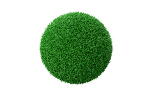 palla d'erba su sfondo bianco - plain meadow sky grass foto e immagini stock