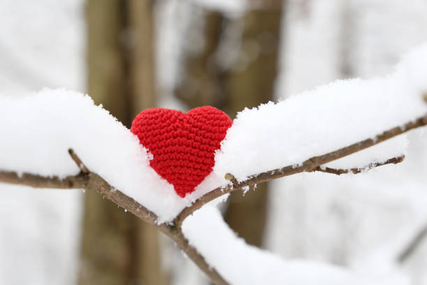 istock Red knitted heart in snow on tree branches in winter forest 1351016349