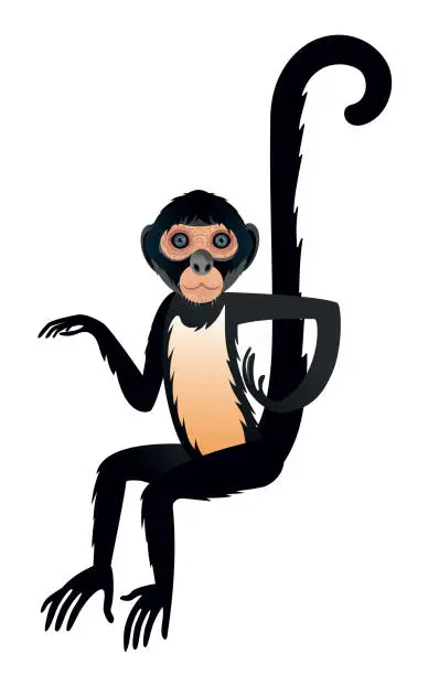 Vector illustration of Black-headed spider monkey