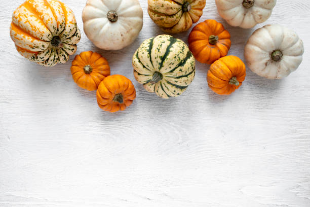 istock Border of mixed edible squash and pumpkins viewed directly above with copy space 1351018831