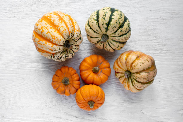 istock Group of edible squash and pumpkins viewed directly above 1351018844