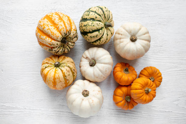 istock Group of mixed edible squash and pumpkins viewed directly above 1351018849
