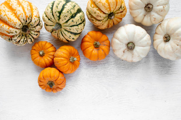 istock Group of mixed edible squash and pumpkins viewed directly above with copy space 1351018858