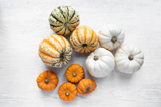 istock Group of mixed edible squash and pumpkins viewed directly above 1351018871