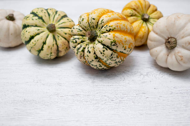 istock Edible squash and white pumpkins in a row, with copy space 1351018947