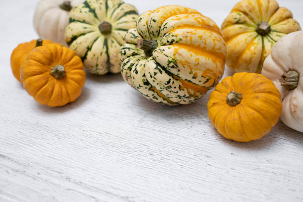 istock Mixed edible squash and pumpkins in a row, with copy space 1351019009