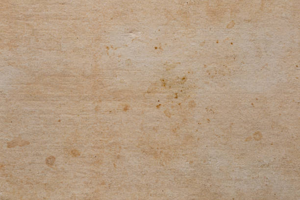 istock old brown grunge paper isolated on white background 1351020221