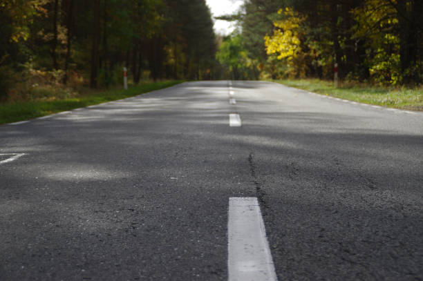 istock Asphalt road through the autumn forest 1351020441