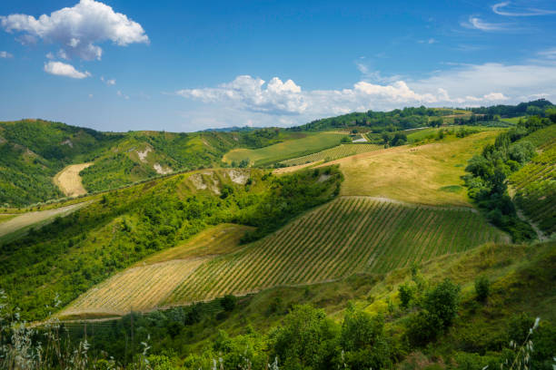 paesaggio rurale sulle colline vicino a riolo terme e brisighella - romagna foto e immagini stock