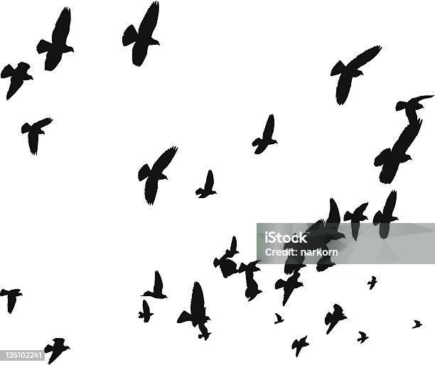Vector Birds Flying Away Peace To The World Stock Illustration - Download Image Now - Birds Flying in V-Formation, Bird, In Silhouette