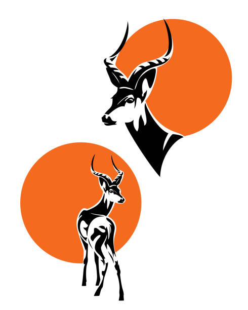 ilustrações de stock, clip art, desenhos animados e ícones de african impala antelope with red sun disk vector design set - gazelle