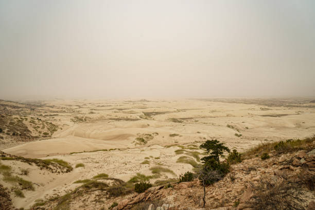 Desert wasteland drought and weathering stock photo