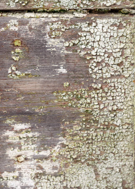istock abstract image with old color texture on old wooden board wall 1351025307