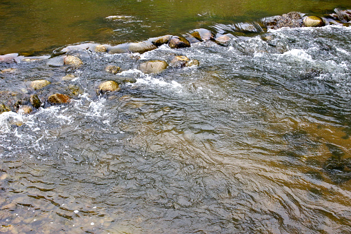 Nature details: Close-up of a small stream flowing over boulders