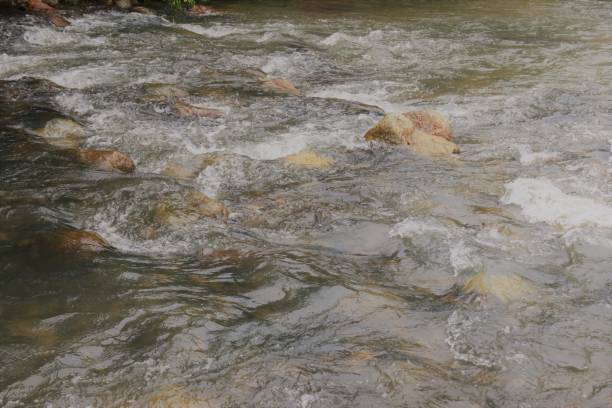 istock Close-up of gentle river flowing 1351027532