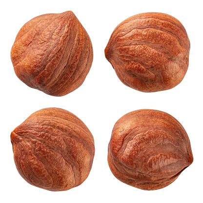 Hazelnut isolated. Hazelnut set on white background. Hazel top view. With clipping path. Full depth of field.