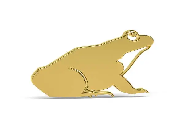 Photo of Frog icon
