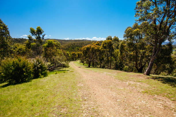 istock Mount Lofty Circuit Walk in Melbourne Australia 1351032685