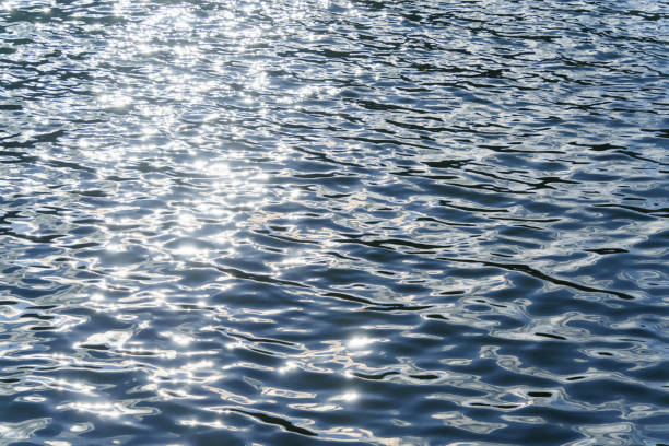 istock Dark water with shallow waves and a light line from the sun. 1351034488